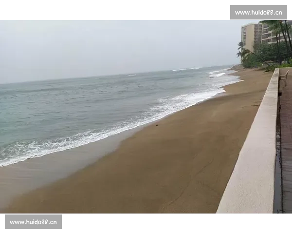 田径赛场上的速度与激情全程追踪精彩瞬动瞬间记录 - 副本 (2) - 副本